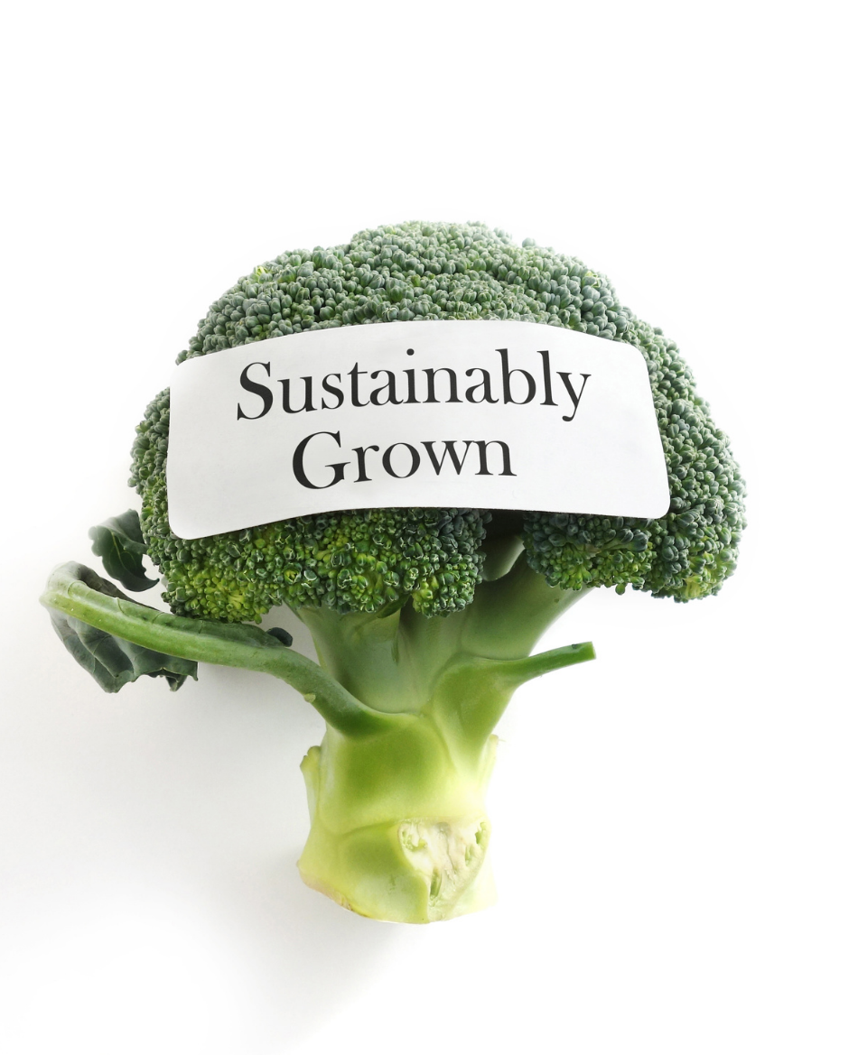 Broccoli, sustainable diet, Medtiterranean diet sustainability